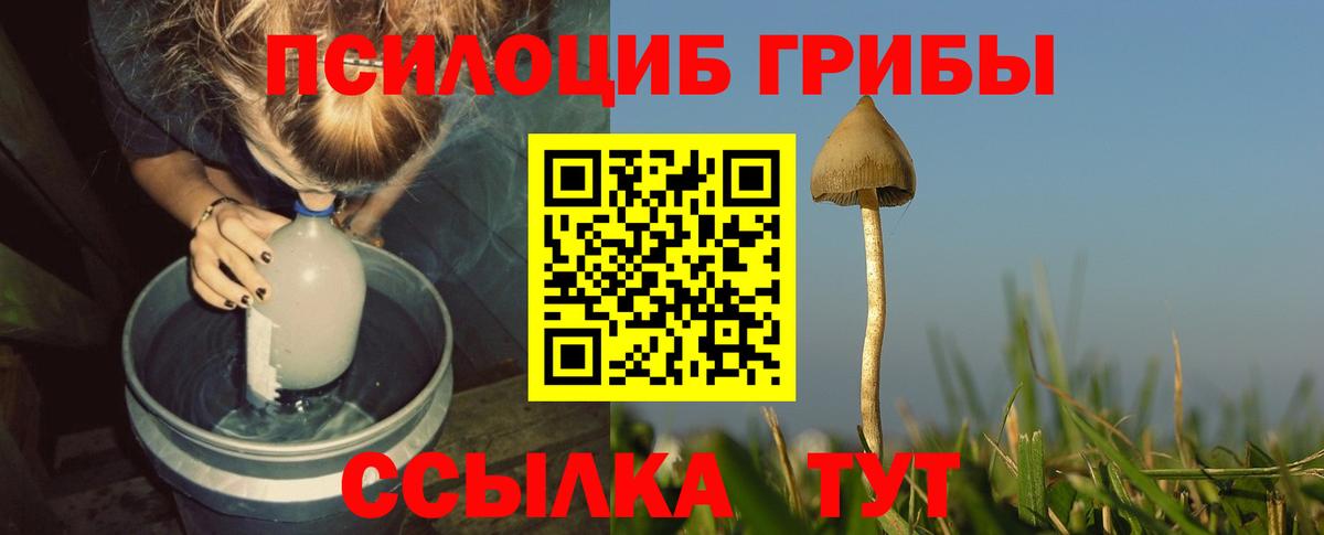 Галлюциногенные грибы прущие грибы  Вход с VPN  Ликино-Дулёво 
